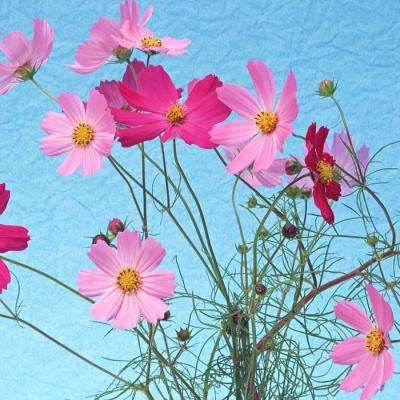 火狐体育APP下载手机版