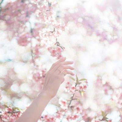 半岛官方体育网页登录